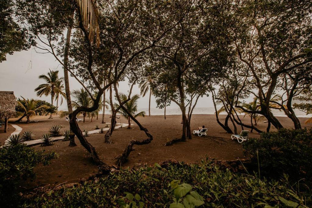 Sansara Surf Yoga & Resort Камбутал Екстер'єр фото